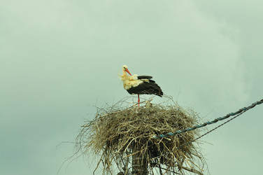 Similar image 21525159