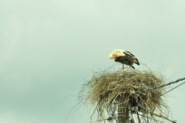 Similar image 21525160