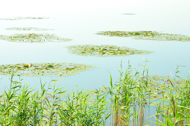 Similar image 21525161