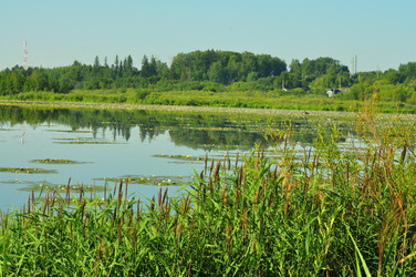 Similar image 21525163