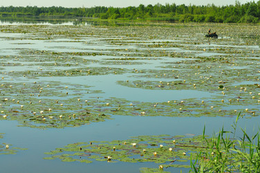 Similar image 21525164