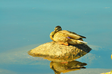 Similar image 21525166