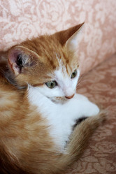 Similar image 21525261