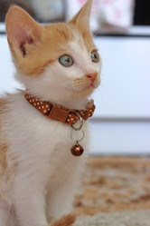 Similar image 21525269