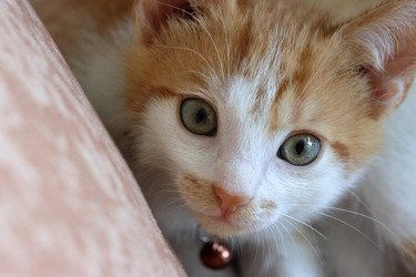 Similar image 21525275