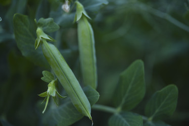 Similar image 21525179