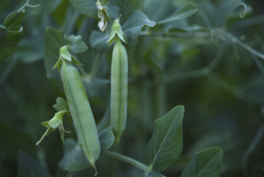 Similar image 21525180