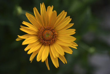 Similar image 21525183