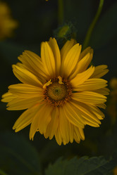 Similar image 21525184