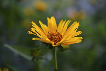 Similar image 21525186