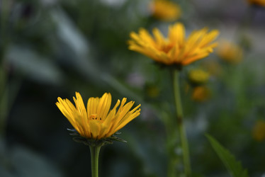 Similar image 21525188