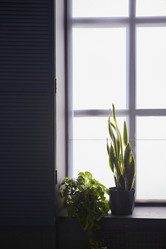 Similar image 21526237