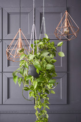 Similar image 21526239