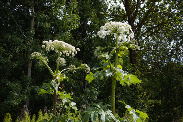 Similar image 21525194