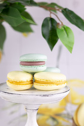 Similar image 21525201