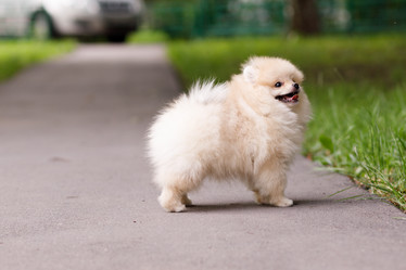 Similar image 21533356