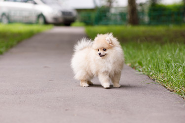 Similar image 21533357