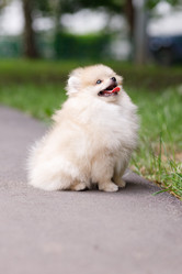 Similar image 21533360