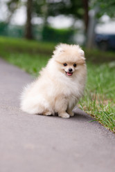 Similar image 21533361