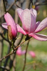 Similar image 21525632