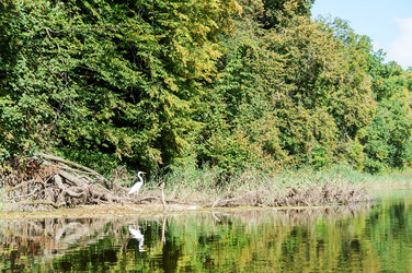 Similar image 21528232