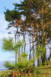 Similar image 21526816