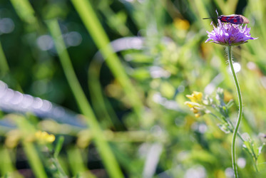 Similar image 21528236