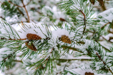 Similar image 21528384