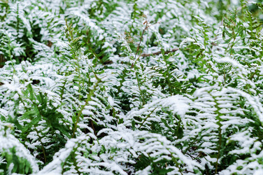 Similar image 21528705