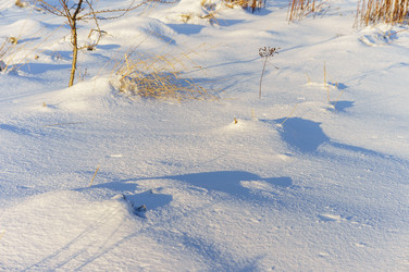 Similar image 21526817