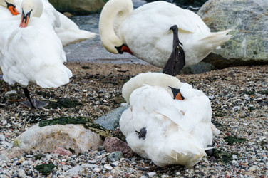 Similar image 21525283