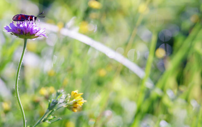 Similar image 21526819