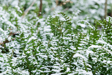 Similar image 21525290