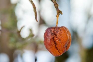 Similar image 21528387