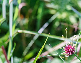 Similar image 21526827