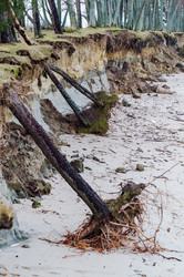 Similar image 21526829