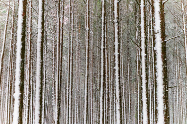 Similar image 21526832