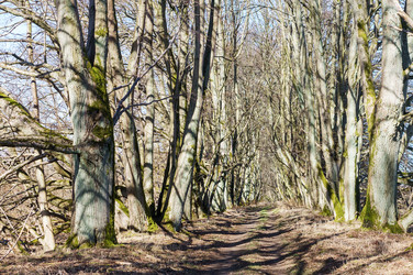 Similar image 21526833