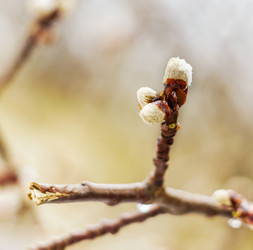 Similar image 21526834