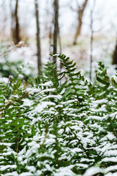 Similar image 21526835