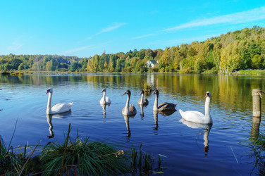 Similar image 21526837