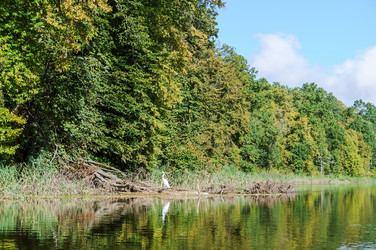 Similar image 21526838