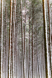 Similar image 21526840