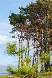 Similar image 21526845