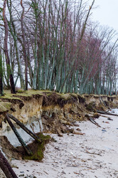 Similar image 21526851