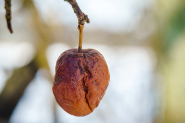 Similar image 21526858