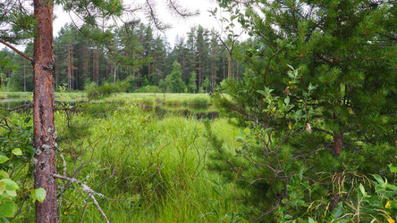 Similar image 21527767