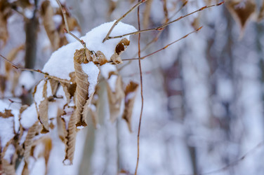 Similar image 21526866