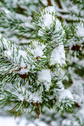 Similar image 21526867