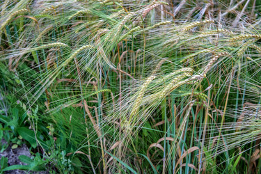 Similar image 21526868